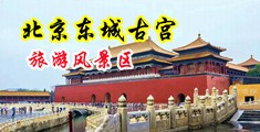 人妻抠逼视频中国北京-东城古宫旅游风景区